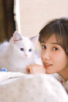 电车之狼3下载